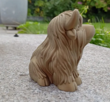 Highland Cow – Shaggy Horned Cutie