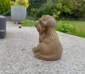 Highland Cow – Shaggy Horned Cutie