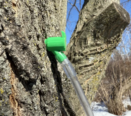 Maple Tree Tap Spout – 3D Printed PLA Sap Collector