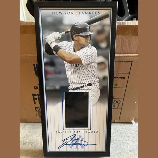 10 x 21 Framed Vinyl Card Display - Jasson Domínguez