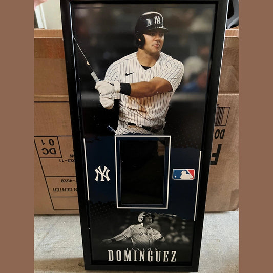 10 x 21 Framed Vinyl Card Display - Jasson Domínguez