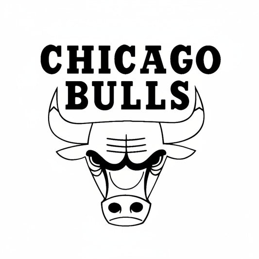 Chicago Bulls logo with bull head and text on a white background
